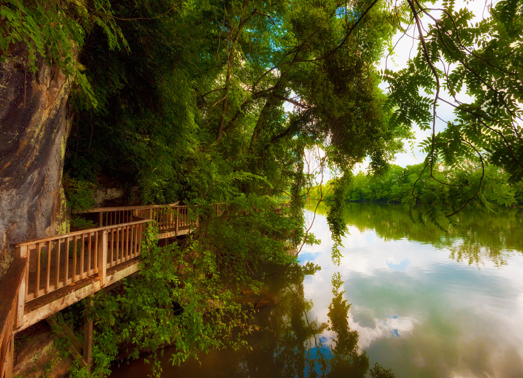 Ijam Nature Park Boardwalk along the Tennessee River