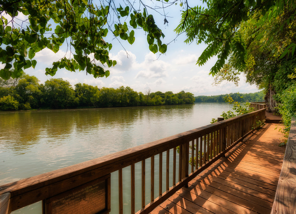 Ijam Nature Park Boardwalk along the Tennessee River