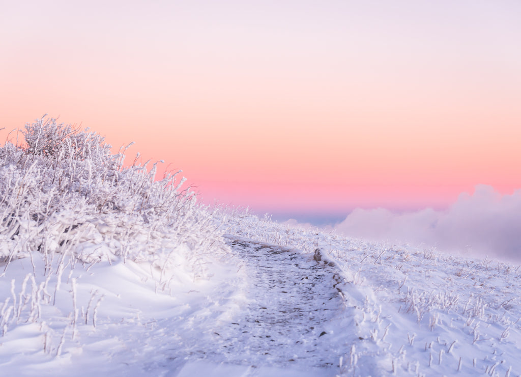 An amazing morning alpenglow along the Appalachian Trail on Round Bald on the Tennessee side of the Roan Highlands