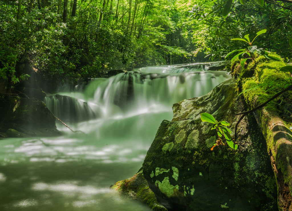 Misty Waterfall - Tennessee