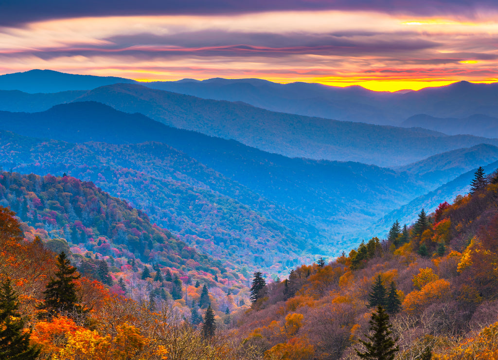 Smoky Mountains National Park, Tennessee, USA autumn landscape
