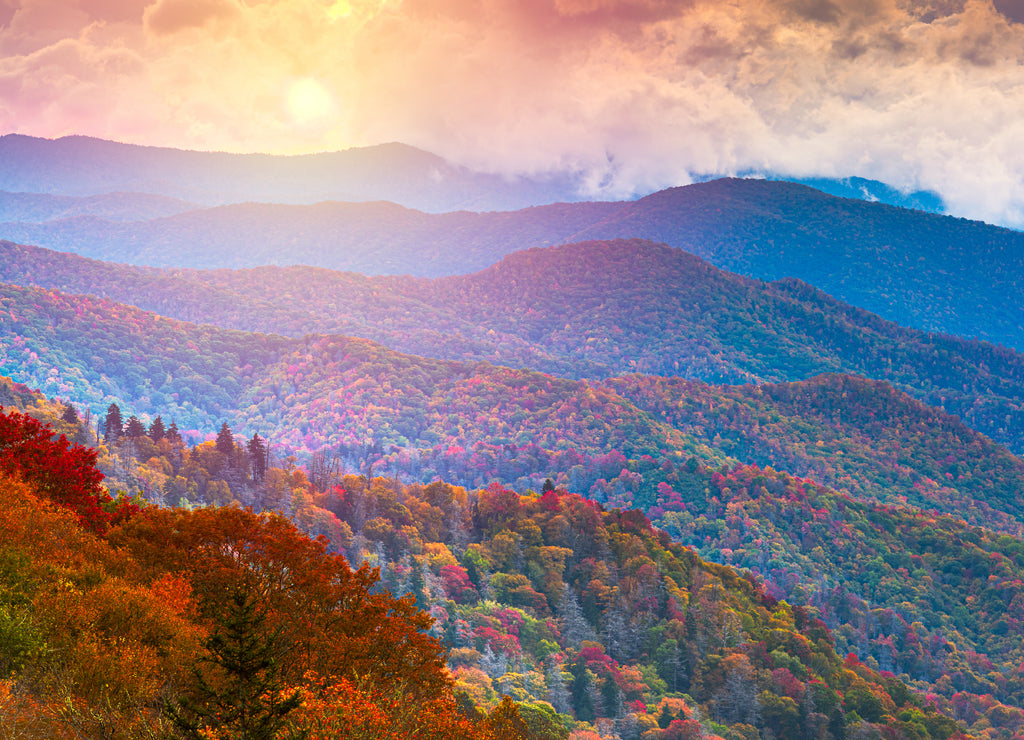 Great Smoky Mountains National Park, Tennessee, USA at the Newfound Pass