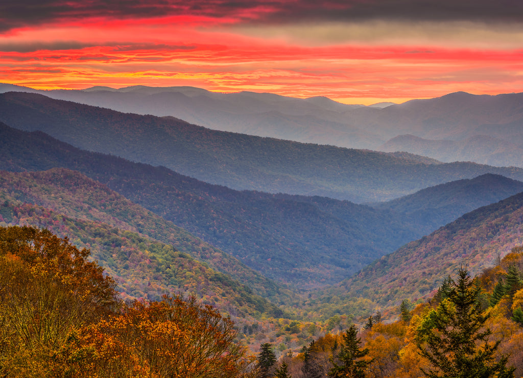 Smoky Mountains National Park, Tennessee, USA Autumn