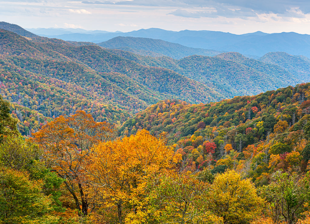 Great Smoky Mountains National Park, Tennessee, USA at the Newfound Pass