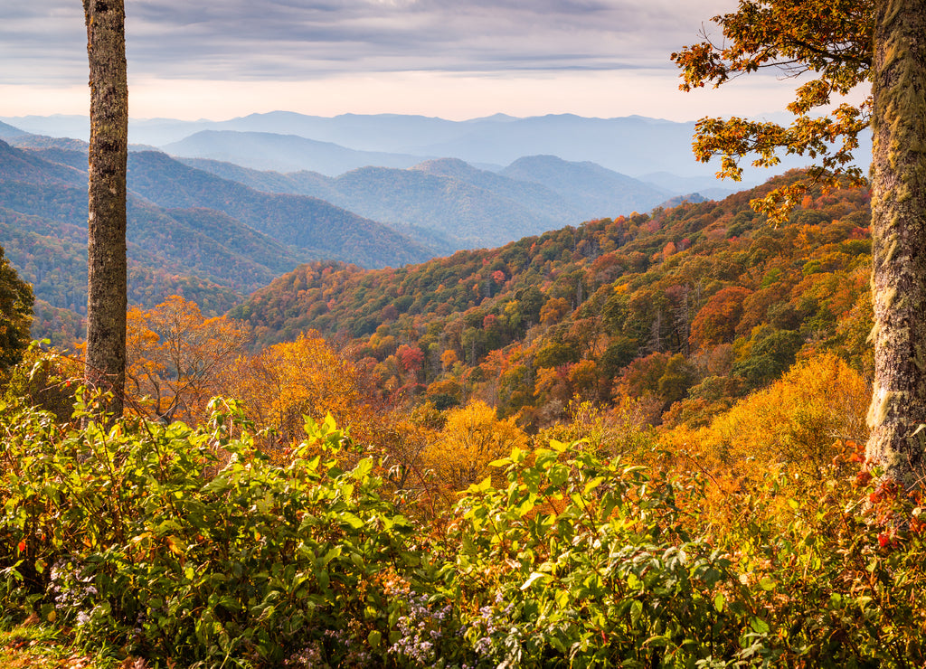 Smoky Mountains National Park, Tennessee autumn landscape at Newfound Gap
