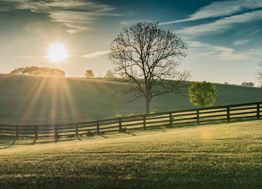 Sun Shines Over Rolling Kentucky Field