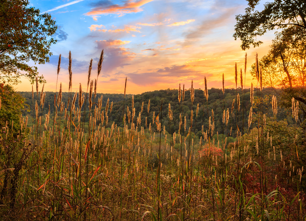 Sunset over Sunset Overlook in Mammoth Cave National Park, Kentucky