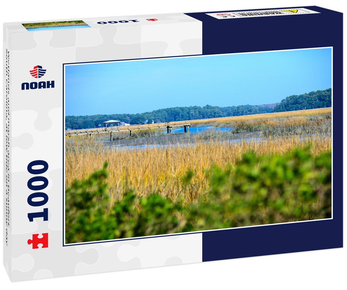 Wetlands and marsh area in Beaufort South Carolina, at low tide on a sunny day