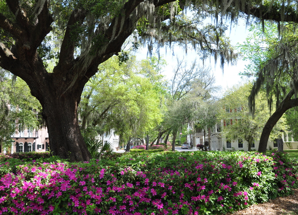 Habersham Gated Community in Beaufort, South Carolina