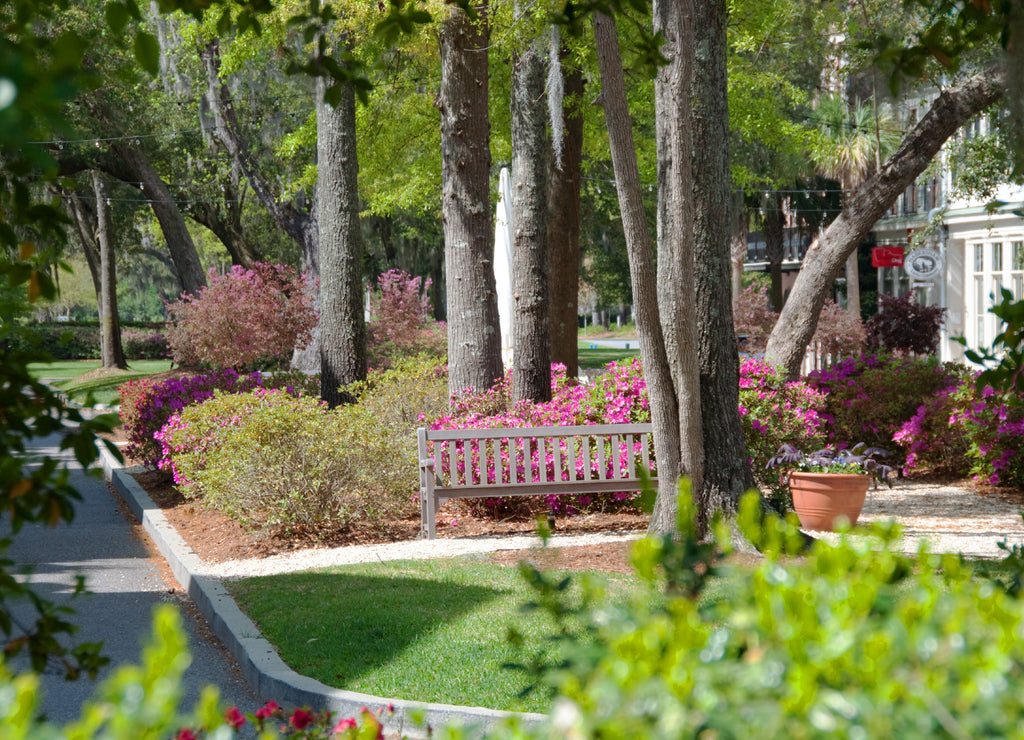 Habersham Town Center Near Beaufort, South Carolina