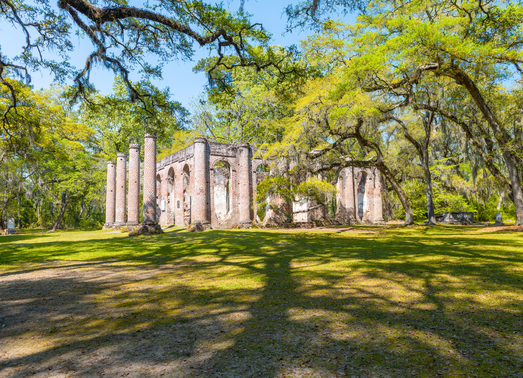 The ruins of Sheldon Church built in 1745 near Beaufort South Carolina