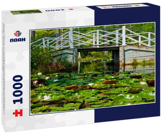 White Bridge Crossing Cypress Swamp With Fragrant Water Lilys and Lily Pads,Cypress Gardens, Moncks Corner, South Carolina, USA