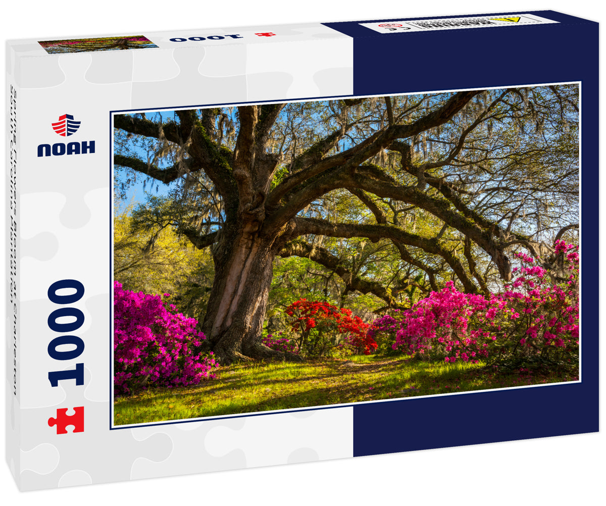 Spring Flowers Bloom at Charleston South Carolina Plantation