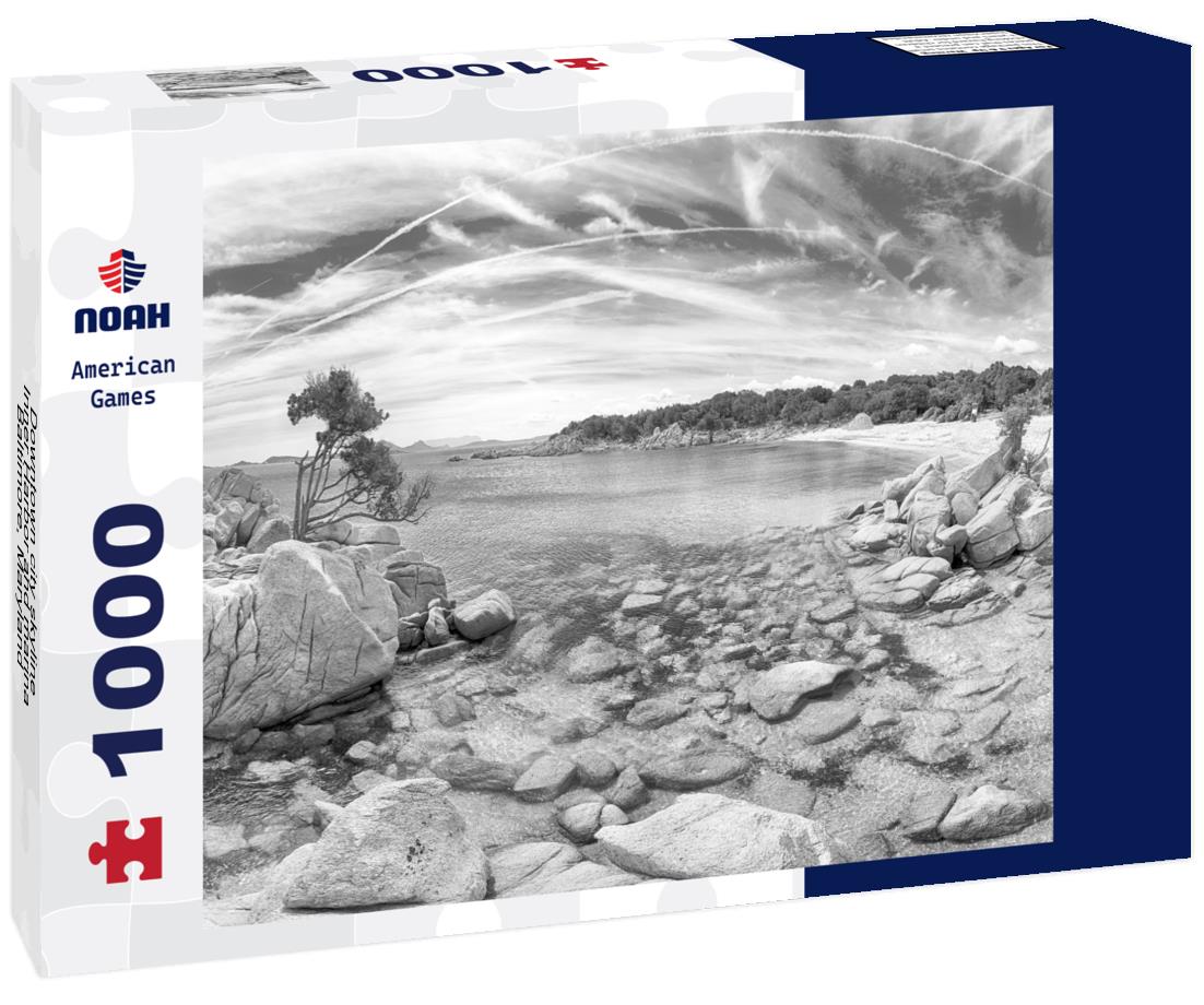 Noah Jigsaw Puzzle Downtown city skyline, Inner Harbor and marina, Baltimore, Maryland, USA in black white 1000 pieces