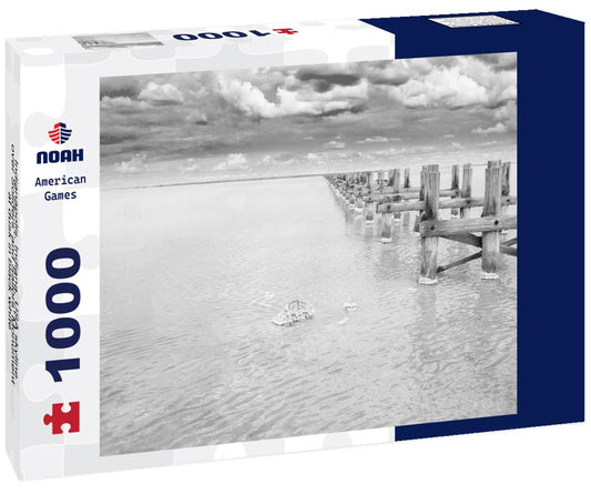 Noah Jigsaw Puzzle Indianapolis, Indiana, USA skyline over Soliders' and Sailors' Monument at dusk in black white 1000 pieces