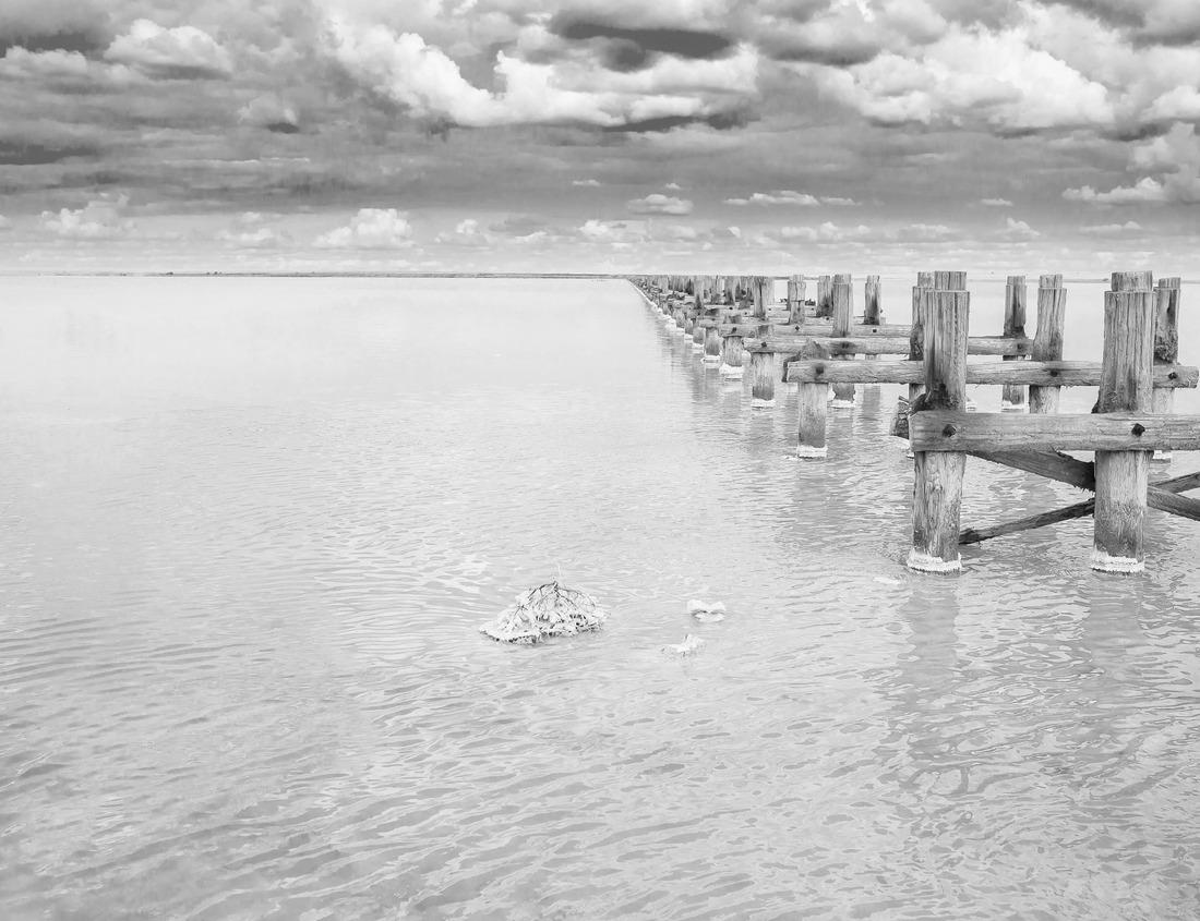 Noah Jigsaw Puzzle Indianapolis, Indiana, USA skyline over Soliders' and Sailors' Monument at dusk in black white 1000 pieces
