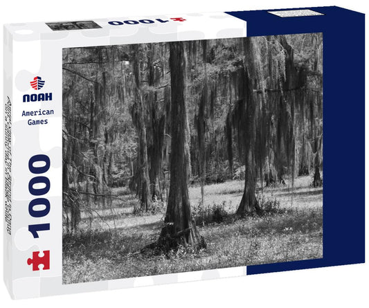 Noah Jigsaw Puzzle Aerial view of The Strand in Dana Point, California in Orange County on a sunny day in black white 1000 pieces