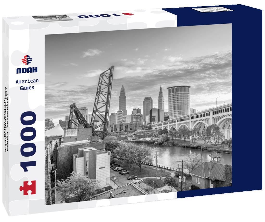 Noah Jigsaw Puzzle Tallahassee, Florida, USA downtown skyline in black white 1000 pieces