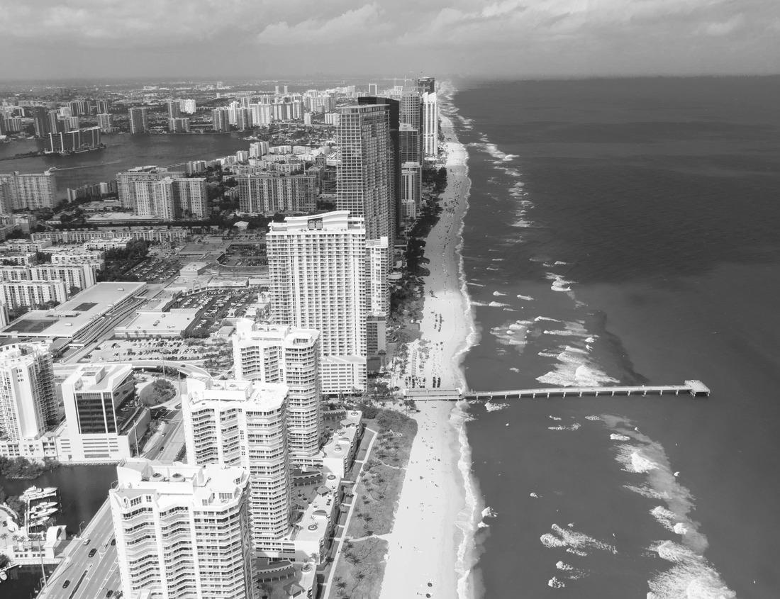 Noah Jigsaw Puzzle Mossy Forest, Redwoods National & State Parks, California in black white 1000 pieces
