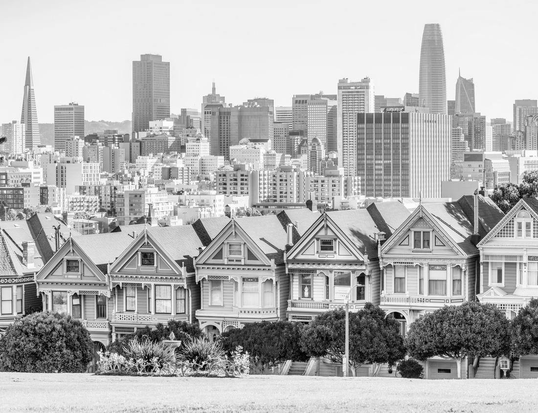 Noah Jigsaw Puzzle Painted Ladies Victorian houses in Alamo Square, San Francisco with the city skyline. in black white 1000 pieces