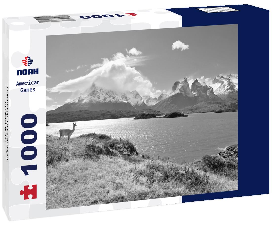 Noah Jigsaw Puzzle Downtown Tulsa at Night in black white 1000 pieces