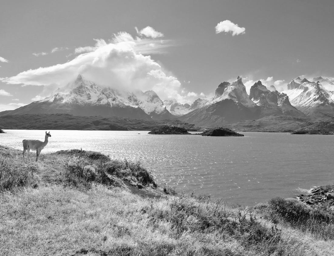 Noah Jigsaw Puzzle Downtown Tulsa at Night in black white 1000 pieces
