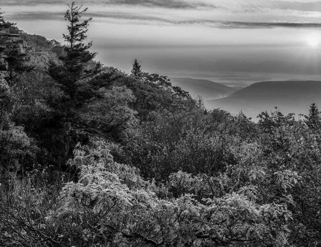 Noah Jigsaw Puzzle Campbell River Harbour on a Clear Summer Morning. Vancouver Island, BC, Canada in black white 1000 pieces