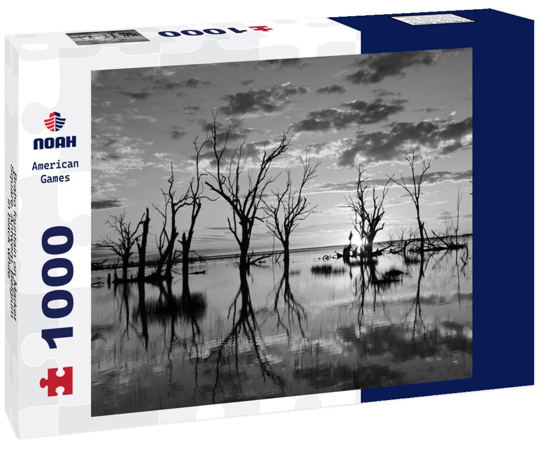 Noah Jigsaw Puzzle Brabo fountain on Market Square, Antwerp, Belgium in black white 1000 pieces