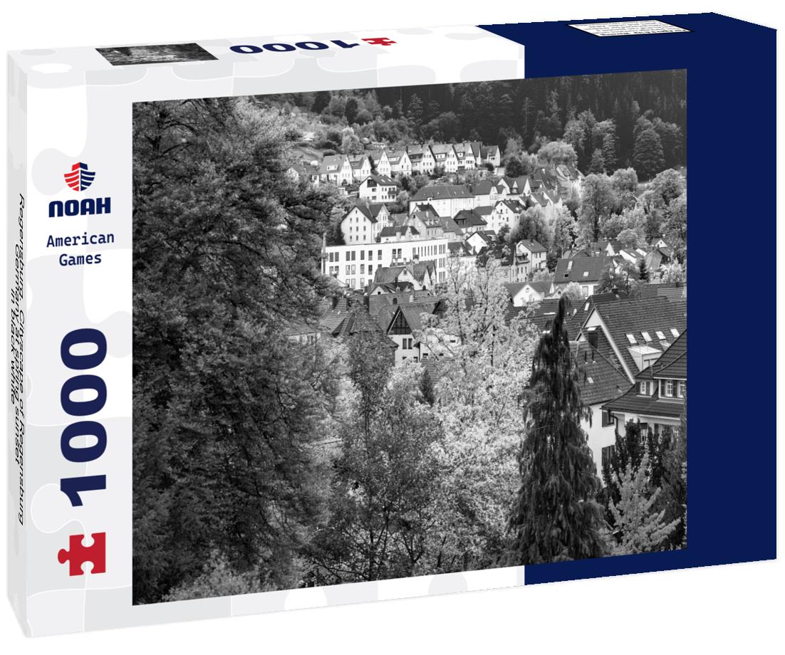 Noah Jigsaw Puzzle Regensburg. Cityscape of Regensburg, Germany at spring sunset in black white 1000 pieces