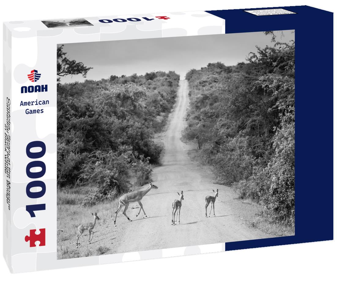 Noah Jigsaw Puzzle Cordoba, Spain at the Mosque-Cathedral and Roman Bridge in black white 1000 pieces