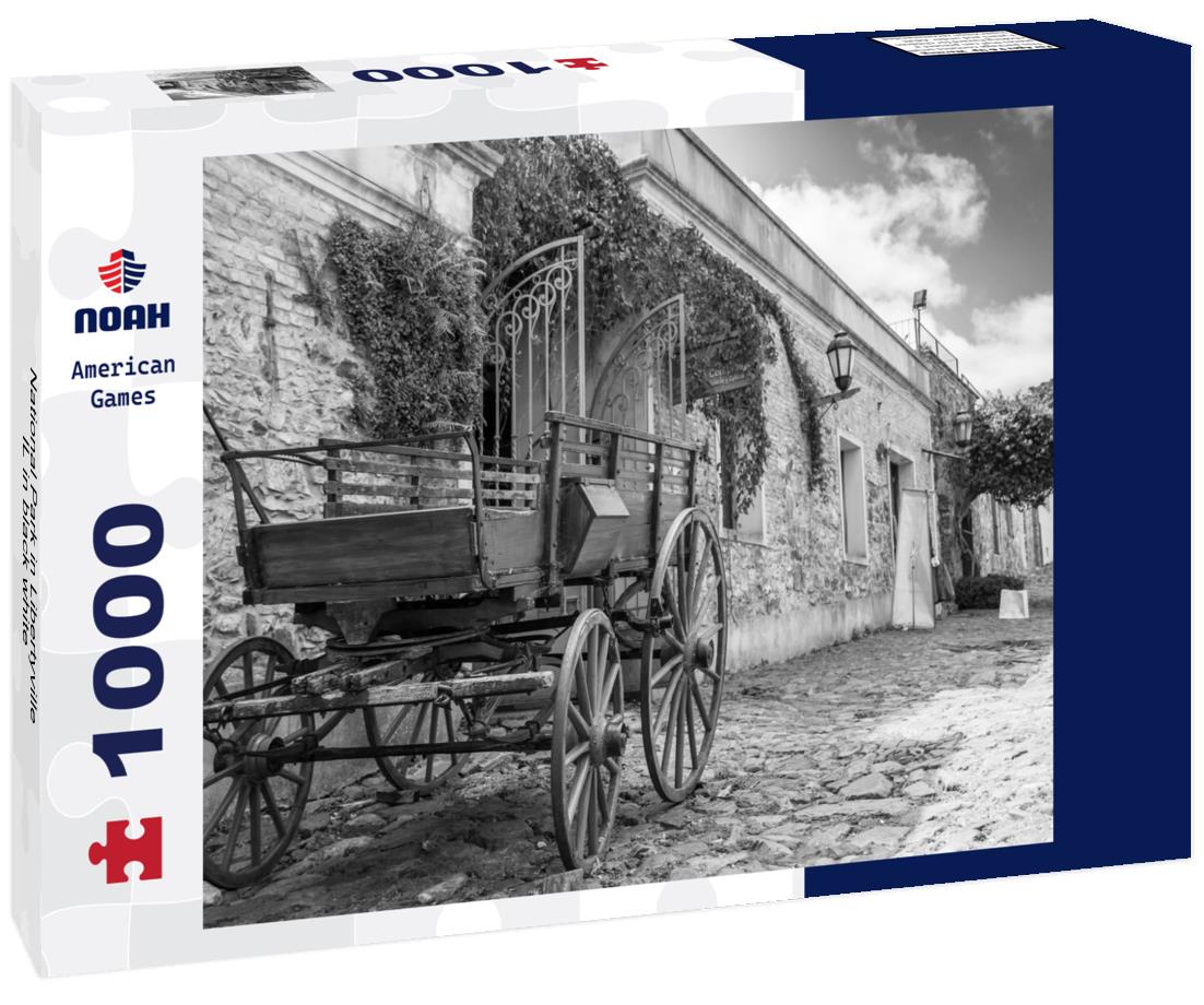 Noah Jigsaw Puzzle National Park in Libertyville IL in black white 1000 pieces