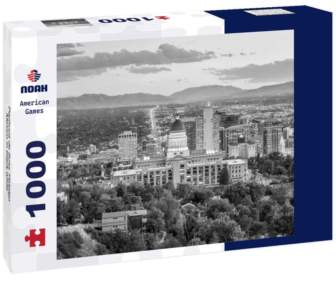 Noah Jigsaw Puzzle Pachuca de Soto, Hidalgo, Mexico in black white 1000 pieces