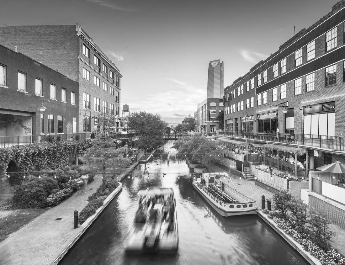 Noah Jigsaw Puzzle Downtown Boise Idaho skyline with two geese flying by in black white 1000 pieces