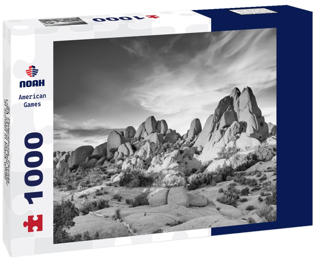 Noah Jigsaw Puzzle St. Petersburg, Florida, USA skyline on the water at sunset in black white 1000 pieces