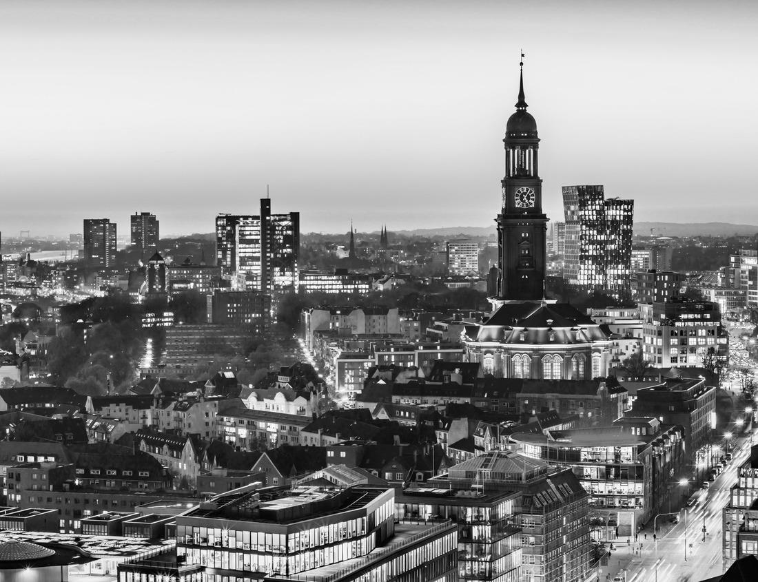 Noah Jigsaw Puzzle Macon, Georgia, USA downtown city skyline at dusk in black white 1000 pieces