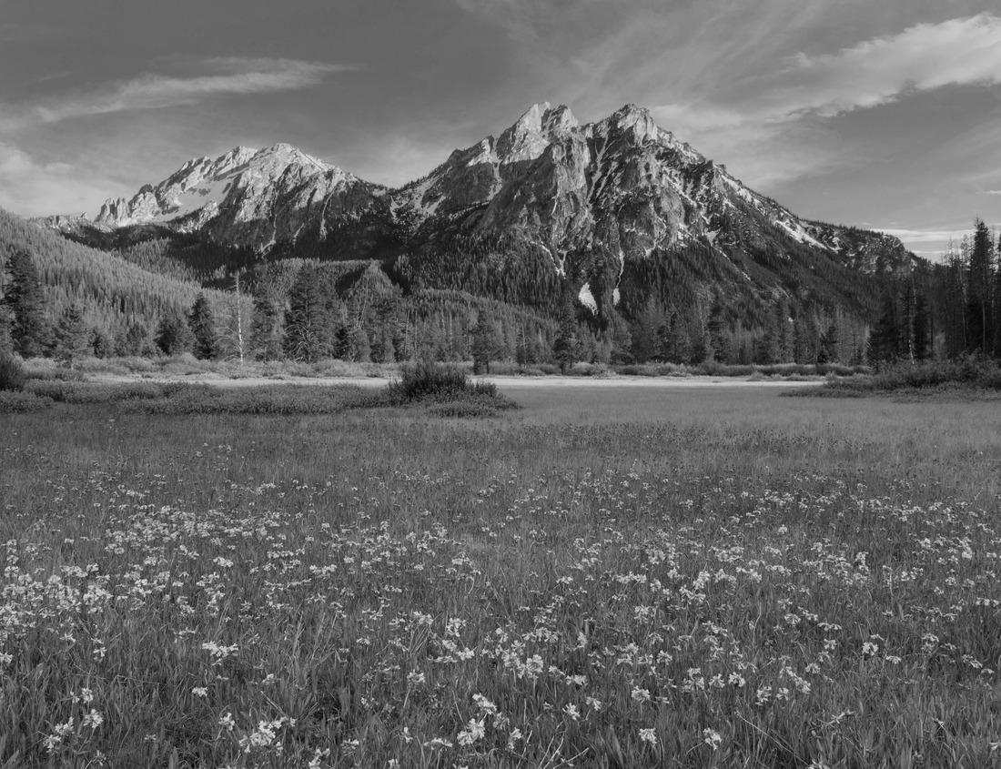Noah Jigsaw Puzzle Mossy Lava Tube Cave, Lava Beds National Monument, California in black white 1000 pieces