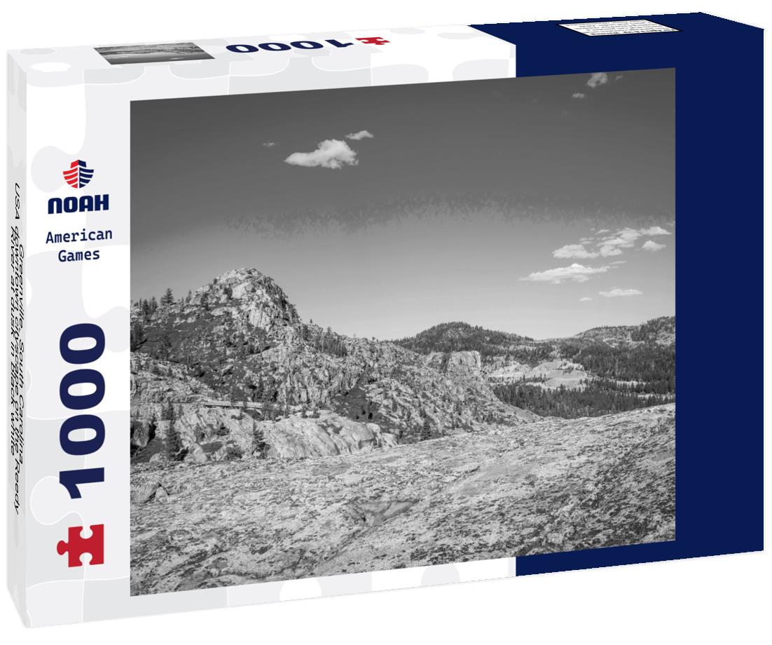 Noah Jigsaw Puzzle Greenville, South Carolina, USA downtown cityscape on the Reedy River at dusk in black white 1000 pieces