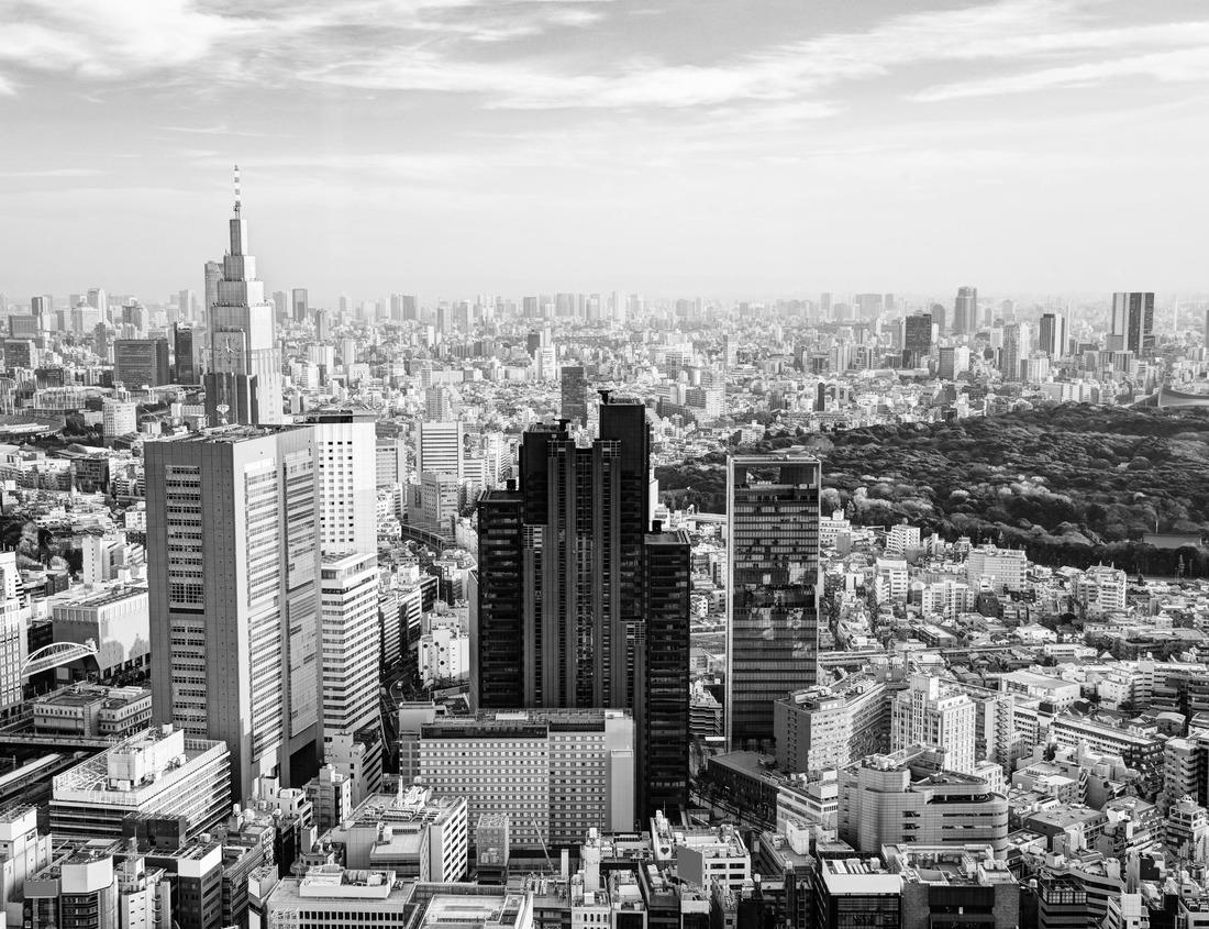 Noah Jigsaw Puzzle Las Cruces New Mexico in black white 1000 pieces