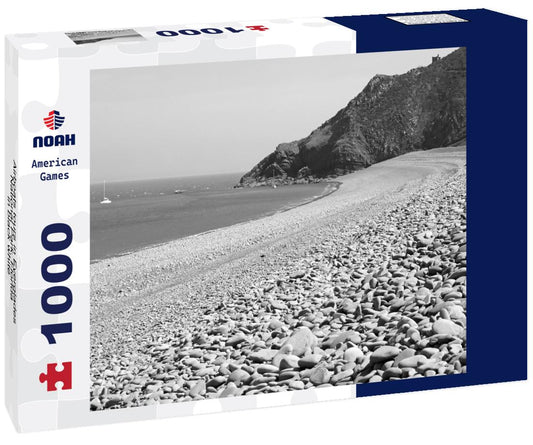 Noah Jigsaw Puzzle Airboats tours in Everglades National Park, Florida in black white 1000 pieces