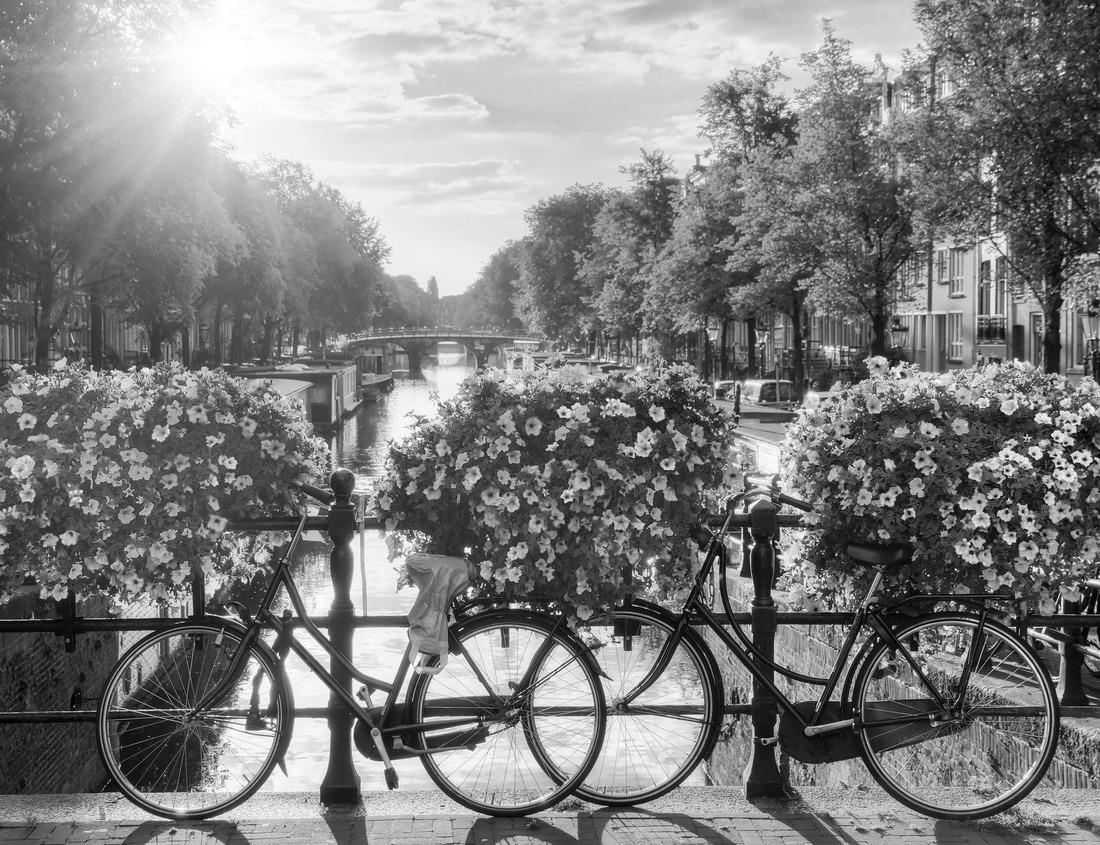 Noah Jigsaw Puzzle Grizzly bear from the shores of Alaska in black white 1000 pieces