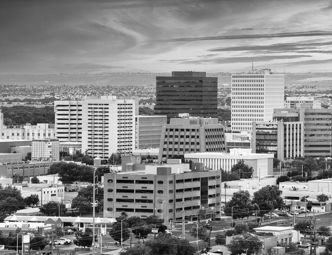 Noah Jigsaw Puzzle Jacksonville, Florida, USA Downtown Skyline at dusk over St. Johns River in black white 1000 pieces