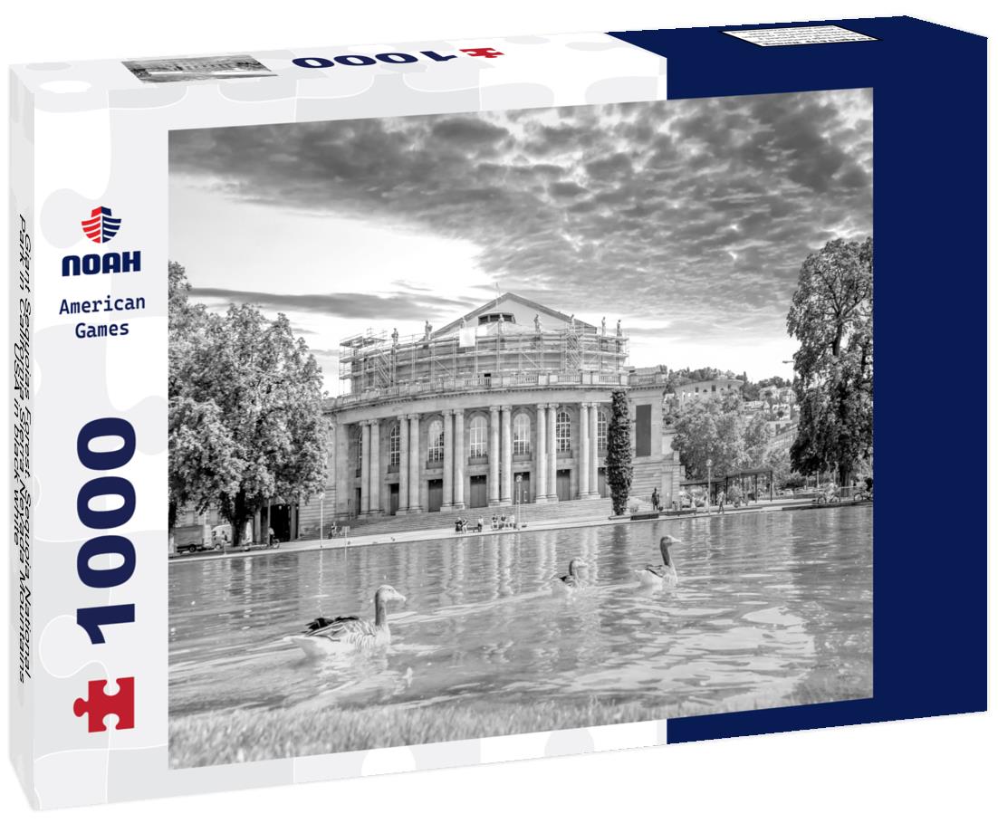 Noah Jigsaw Puzzle Giant Sequoias Forest. Sequoia National Park in California Sierra Nevada Mountains, USA in black white 1000 pieces