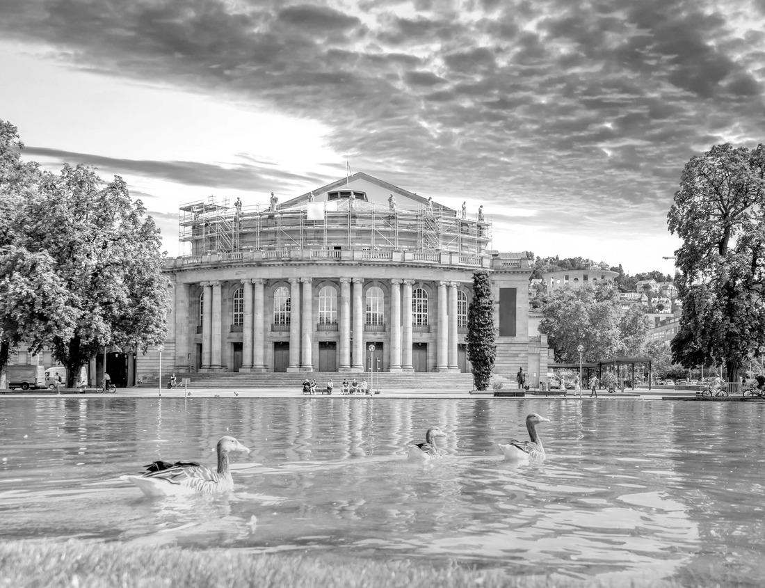 Noah Jigsaw Puzzle Giant Sequoias Forest. Sequoia National Park in California Sierra Nevada Mountains, USA in black white 1000 pieces