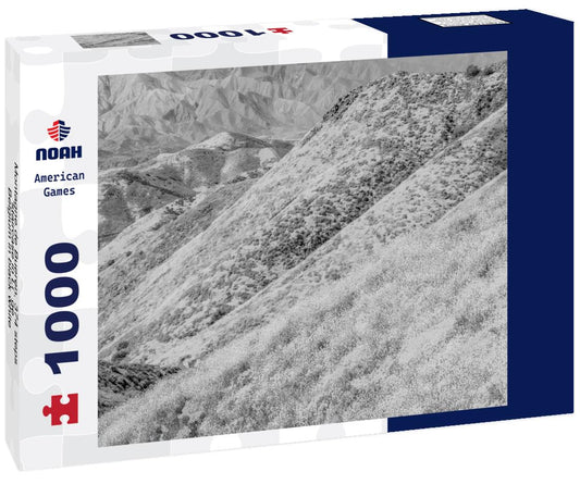 Noah Jigsaw Puzzle Montagne de Bueren, 374 steps staircase in Liège - Belgium in black white 1000 pieces