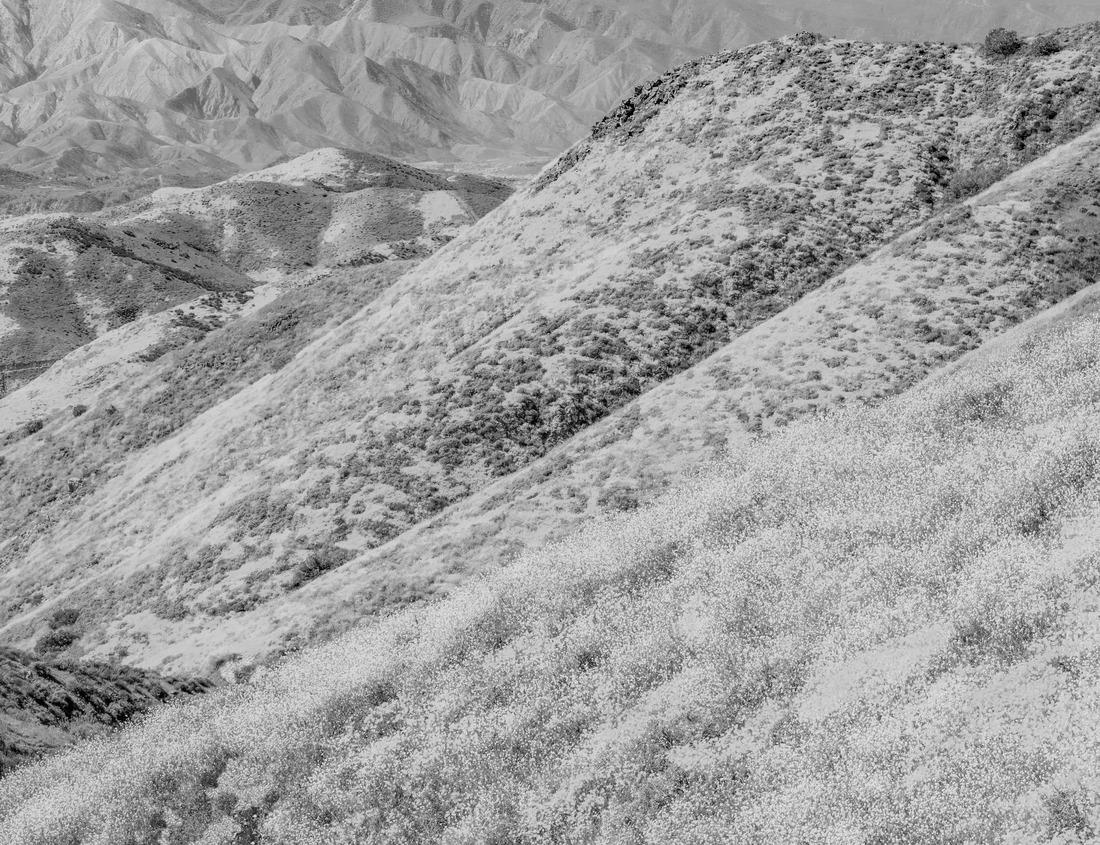 Noah Jigsaw Puzzle Montagne de Bueren, 374 steps staircase in Liège - Belgium in black white 1000 pieces