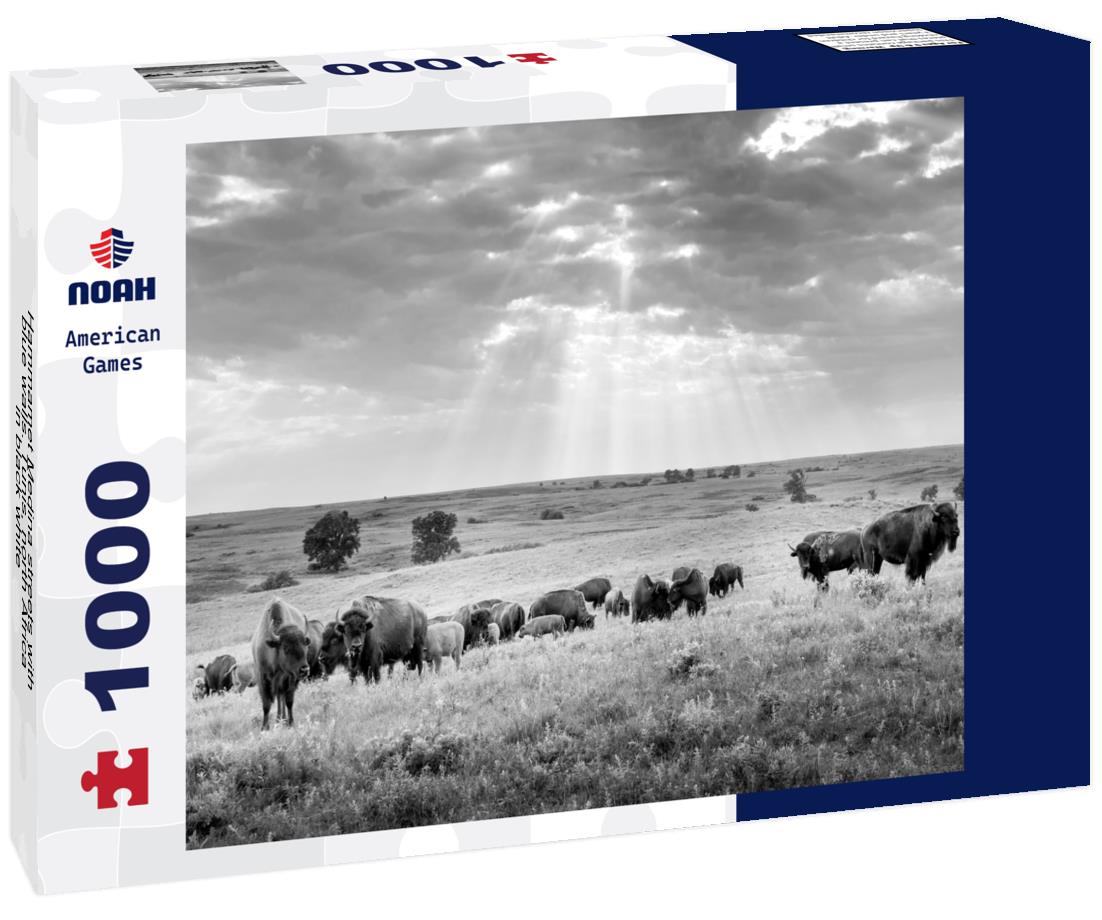 Noah Jigsaw Puzzle Hammamet Medina streets with blue walls. Tunis, north Africa in black white 1000 pieces