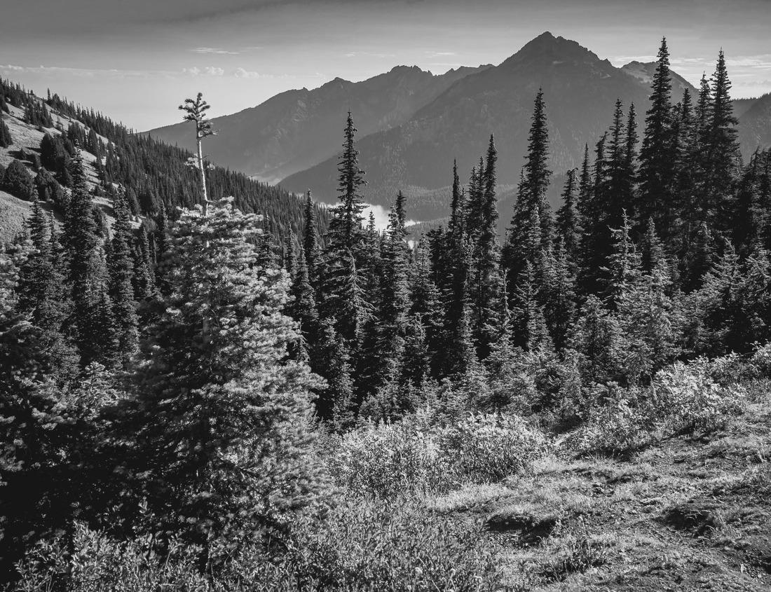 Noah Jigsaw Puzzle A wonderful sunset on in the bay of Maratea with a view of the mountain San Biagio in June in black white 1000 pieces