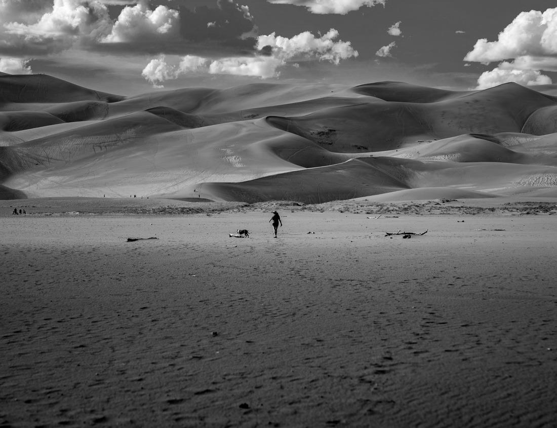Noah Jigsaw Puzzle Famous monument of Gateway Arch in Missouri with St Louis Skyline and Mississippi River, Missouri, USA in black white 1000 pieces