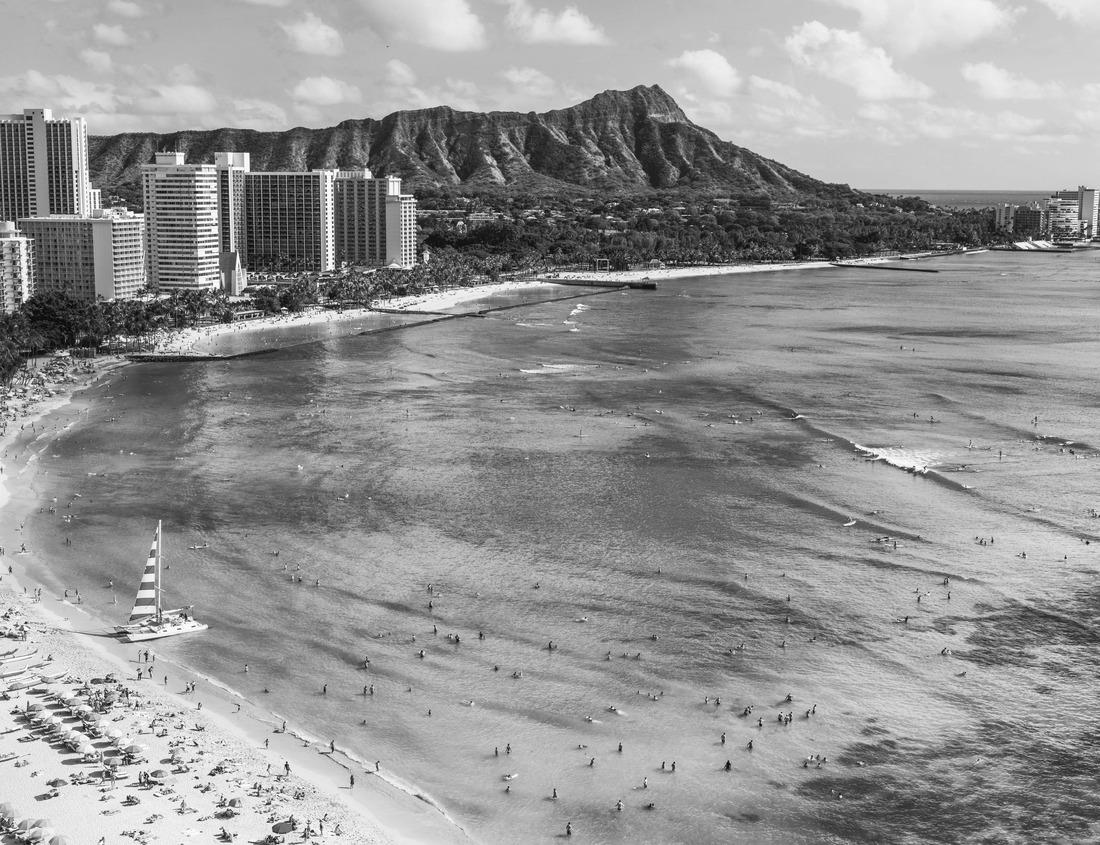 Noah Jigsaw Puzzle aerial panorama of downtown Columbia South Carolina SC in black white 1000 pieces