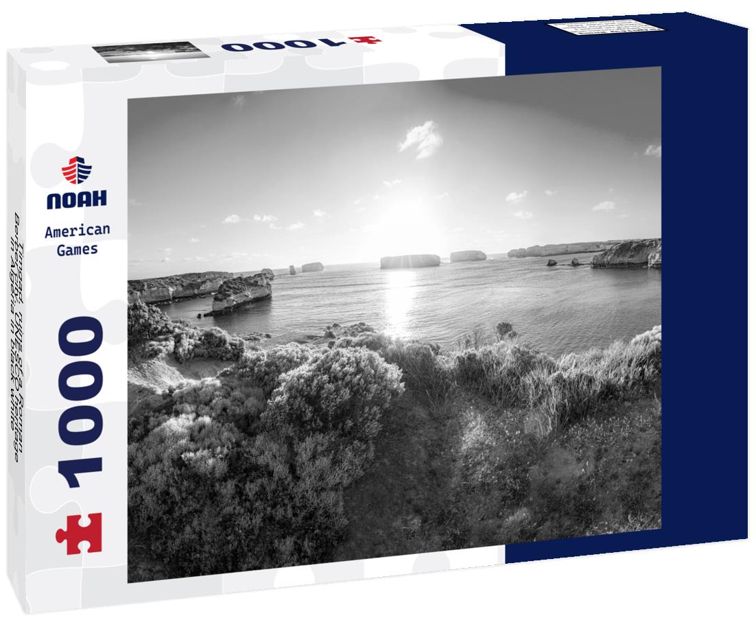 Noah Jigsaw Puzzle Timgad, ruins of a Roman-Berber city, UNESCO heritage in Algeria in black white 1000 pieces